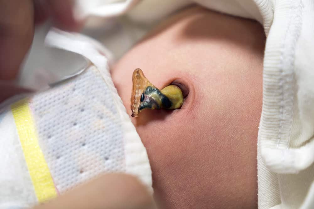cleaning baby's belly button
