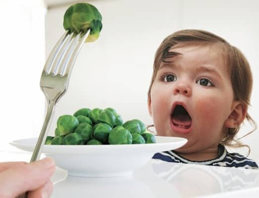 toddler food ideas