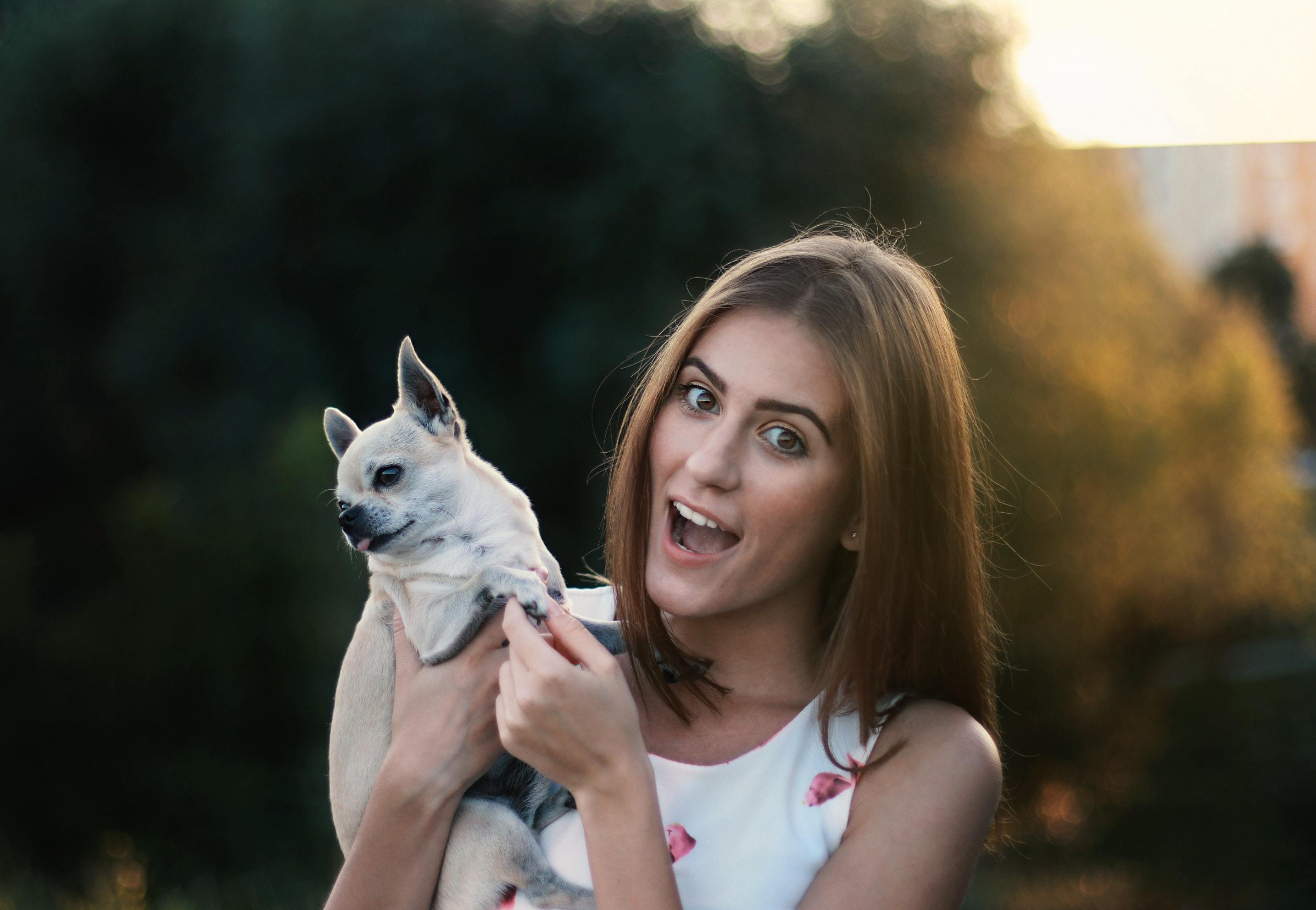 Top 5 Best Reasons to Have Support Animals