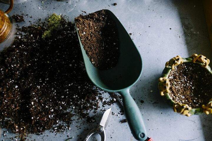 6 Tips to Preparing for Gardening in Spring