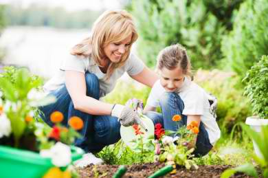 Gardening Summer Holiday Activities