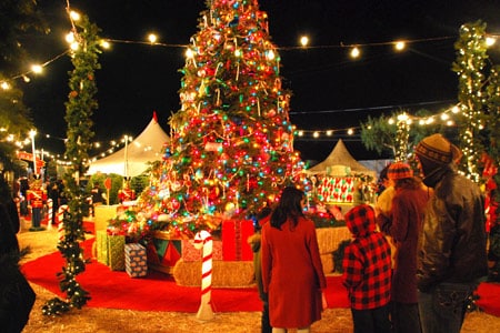 Christmas on a Budget