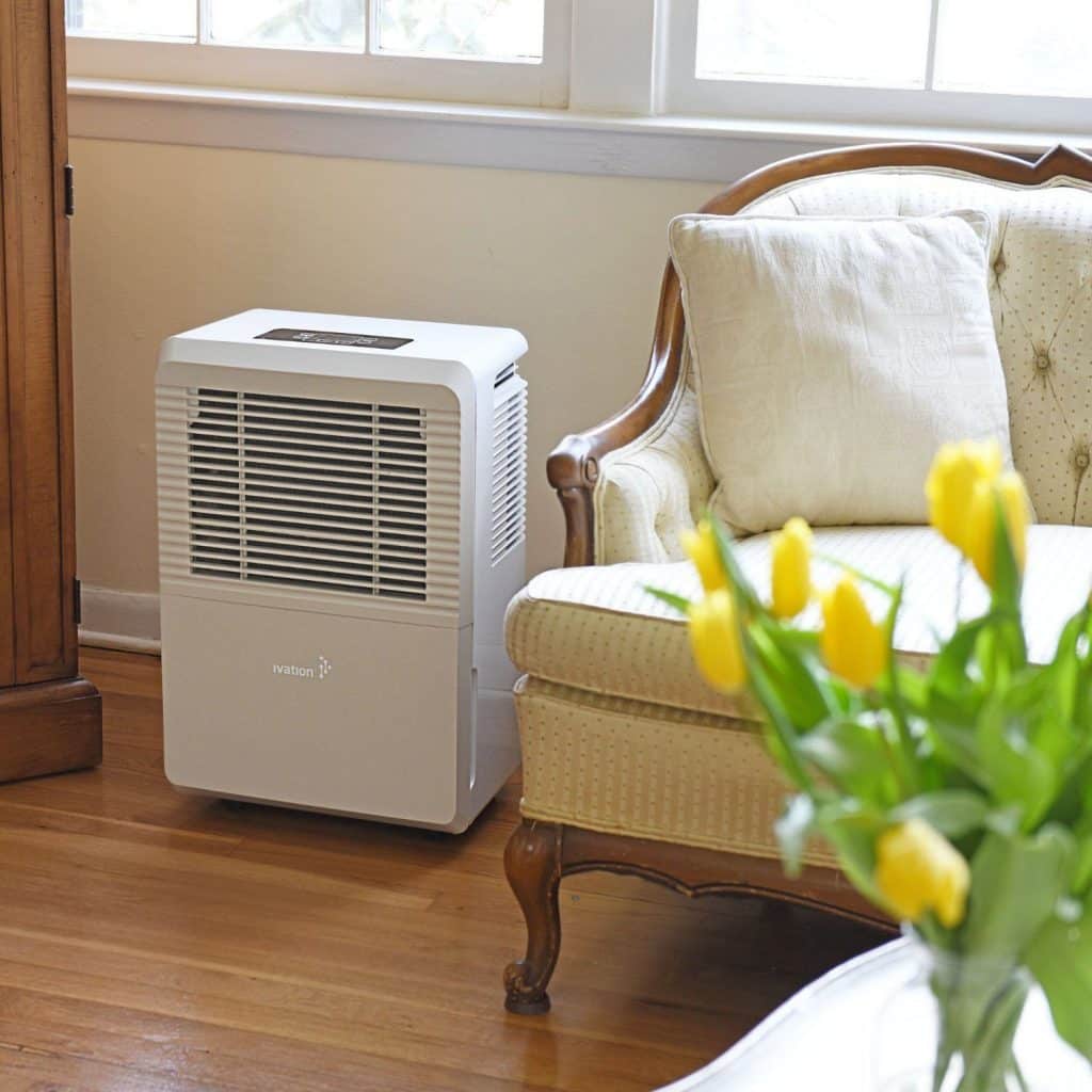Best Dehumidifier Buying Guide