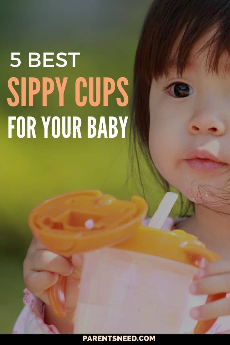 Top 5 Best Sippy Cups for Babies | [xyz-ips snippet='Auto-Year3'] Reviews